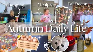 Simple Autumn Daily Life🍄| inTHEmiddle of a big TESCO HAUL | Simple Mealprep | DIY Autumn Curtains 🍁 screenshot 5