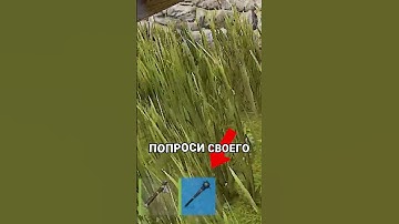 ДЛЯ ЭТОГО ОРУЖИЯ ЛЮБЫЕ СТЕНЫ НЕ ПРОБЛЕМА В RUST / РАСТ