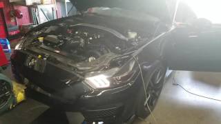 CPR built supercharged Gt350
