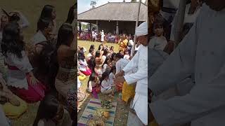 proses ngaturan rambut ring pure nataragung gunung Beratan