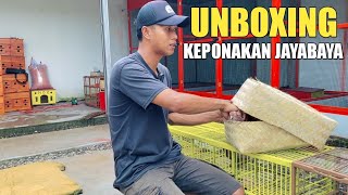 UNBOXING NEW PIGEON, SUPER TIGHT DRIVING IMMEDIATELY