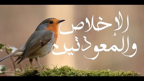 سورة الإخلاص والمعوذتين _للقارئ محمد المحيسني