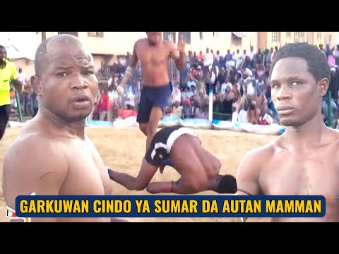 October 29 2025 Yaki Yabaci A Kano Sarki Garkuwan Cindo Ya Sumar Da Masheki Autan Mamman