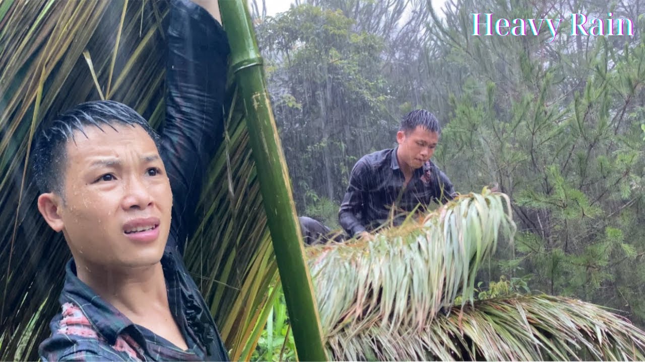 Building a bamboo house in heavy rain | alone in the forest - YouTube