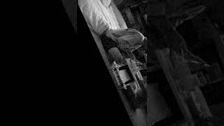 ร (W8) - GENE KASIDIT  [Cover By PETCHKEYY]