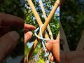 It is a strong knot of trust