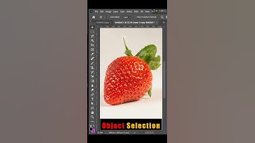 Select Subject use Select Menu in Photoshop #subjectselection | #shorts  #adobe  #photoshop