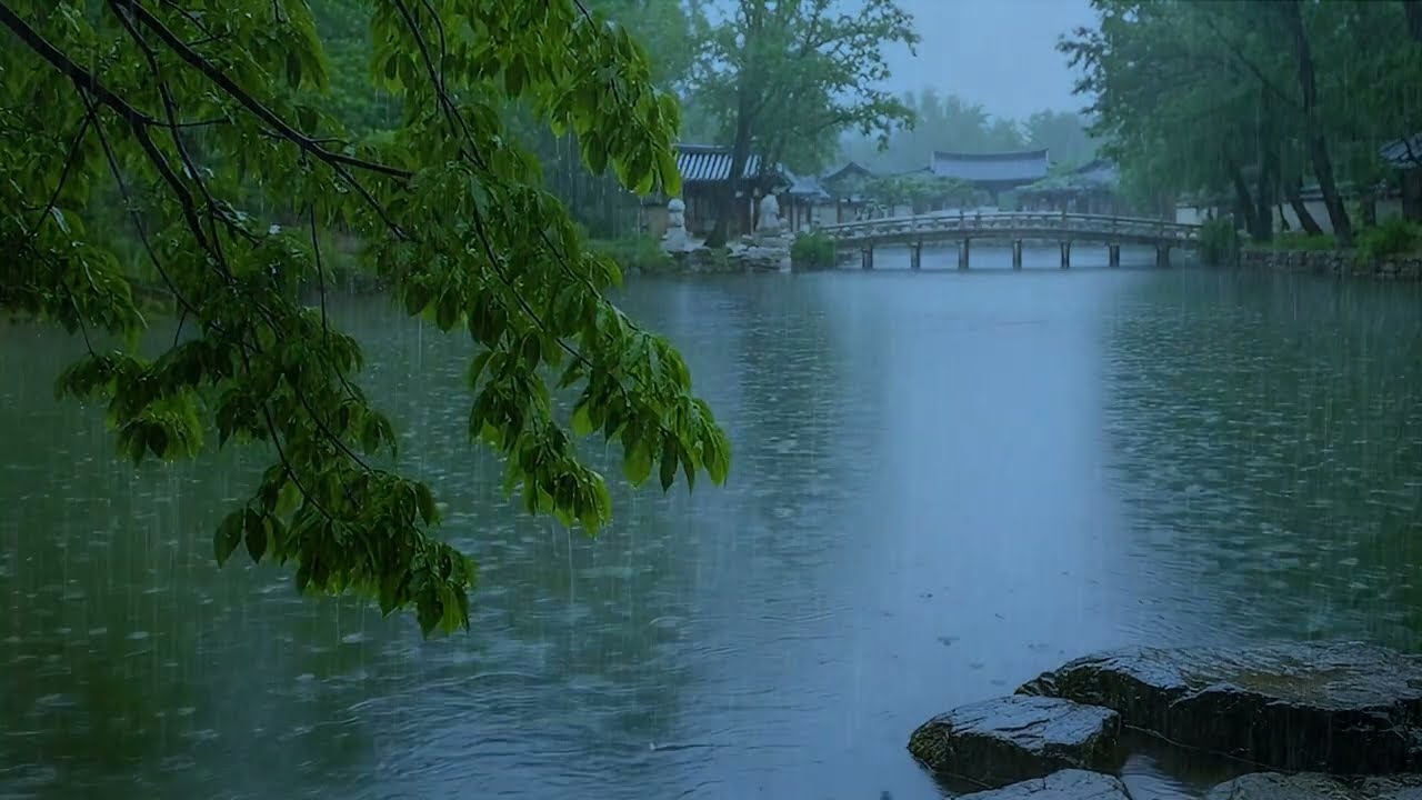 Soft Rain Pouring Down on Forest Lake to Improve Sleep | Real Rainforest ASMR