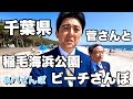 【あべさんぽ #21】千葉県 稲毛海浜公園を歩いてみた #稲毛海浜公園 #安倍晋三 #菅義偉