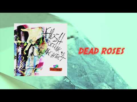 FLESH - Dead Roses [Official Audio]