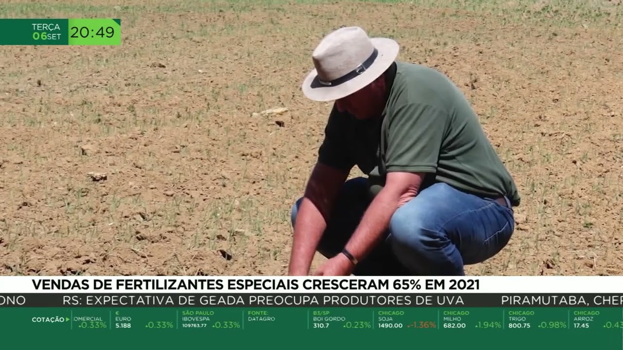 Vendas de fertilizantes especiais cresceram 65% em 2021