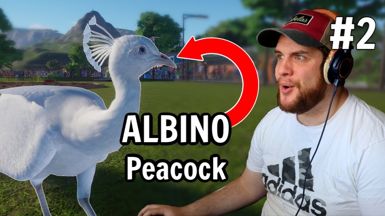 We got an Albino Peacock! Planet Zoo #2 - YouTube