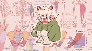 Dicas para estudar anatomia | tutorial de anatomia