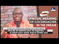 SPIRITUAL MEANING OF COCKROACHES IN DREAMS I Evangelist Joshua Orekhie I