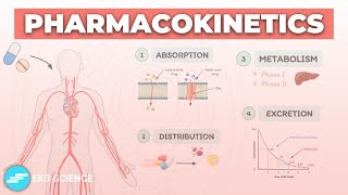 Pharmacokinetics: Absorption, Distribution, Metabolism & Excretion