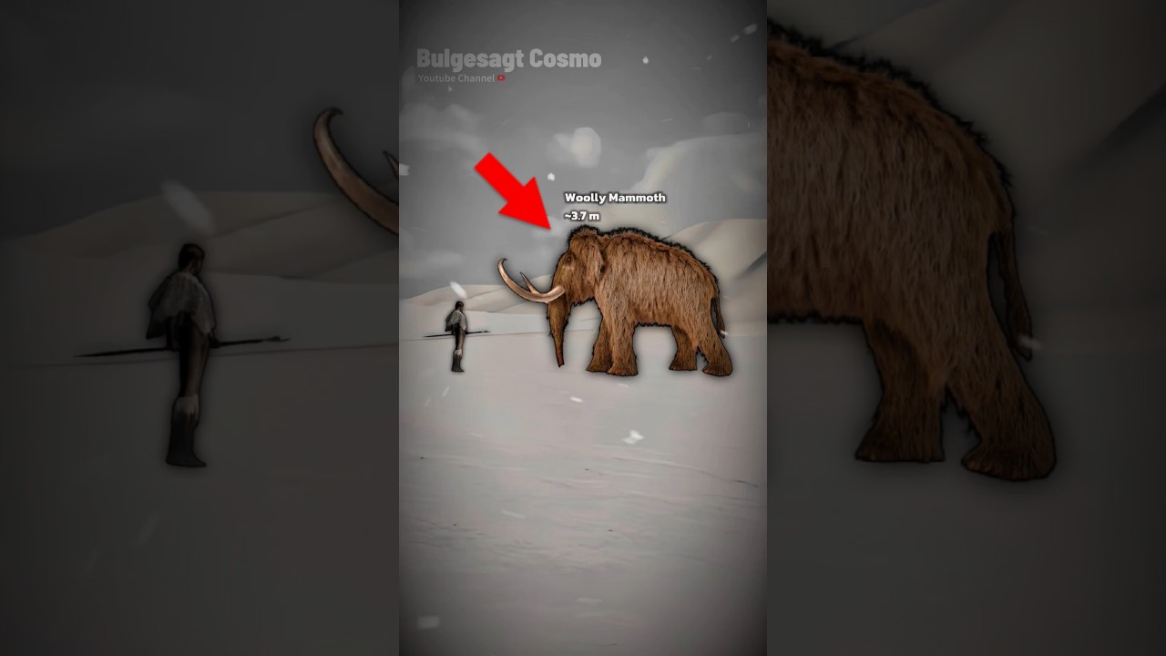 ICE AGE ANIMALS SIZE COMPARISON | FROM MIRACINONYX TO PALAEOXODON NAMADICUS
