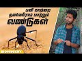பனி காற்றை தண்ணீராய் மாற்றும் வண்டுகள் | | Biomimicry #7 | LMES