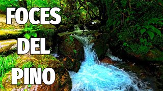 Rutas en Asturias, Volvemos a las Foces del Pino, Concejo de Aller