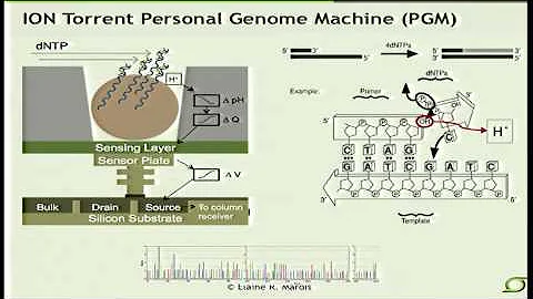 Next-Generation Sequencing Technologies - Elaine M...