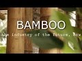 BAMBOO The Industry Of The Future Now BAMBOO The Industry Of The Future Now