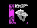 Hans j  beautiful flower original mix