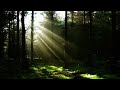 Matt Darey Pres: Urban Astronauts - See The Sun (Aurosonic Remix)