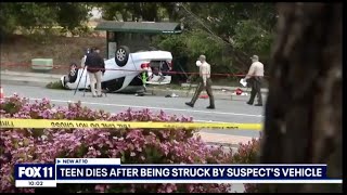 Teen dies, another critical after deputies say homeless man hits four kids & stabs WalMart employee