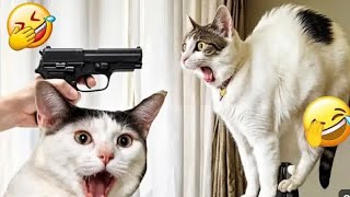 Try not to laugh animals videos funny cats 🐈 funny dogs 🐕 #trynottolaugh