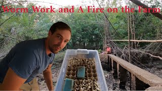 Worm Work and a Fire on the Farm | The Great Progression Project | Thailand