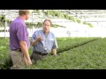 IPM Tips – Easy Management of Chemical Resistance With Sultan