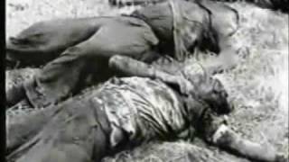 Download Il Disseppellimento Delle Vittime Della Strage Nazista Di San Polo Ar Luglio 1 Video MP3 Il Disseppellimento Delle Vittime Della Strage Nazista Di San Polo Ar Luglio 1