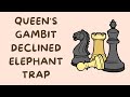 Queen's Gambit Declined Elephant Trap | Opening Traps for Black