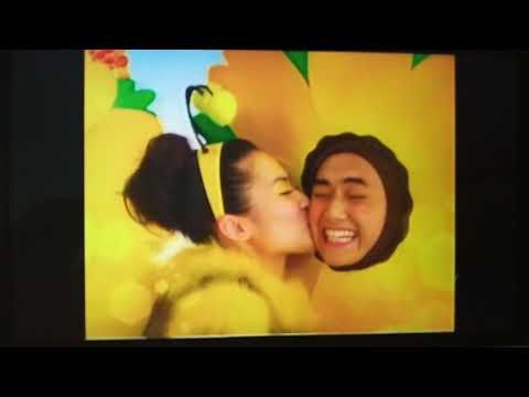 維他菊花茶、蜜糖菊花茶 - 靚靚蜜蜂姐姐DADA LO採菊花男
