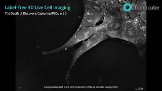 Labelfree Human iPSC taken by the HTX1 Holotomography system