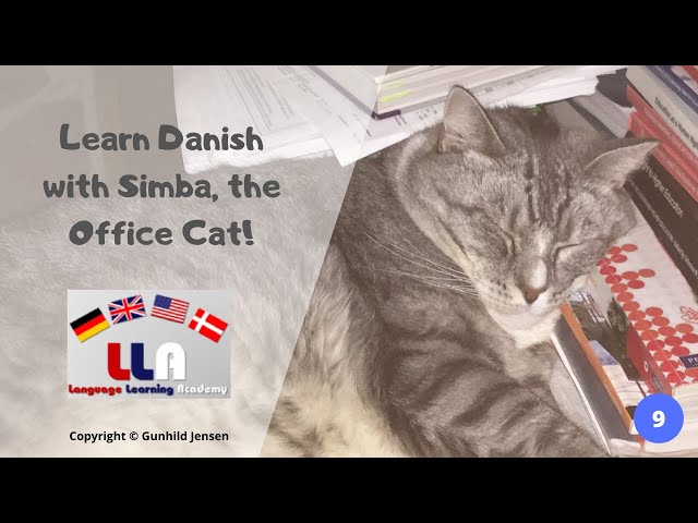 Learn Danish with Simba the Office Cat! Part 9