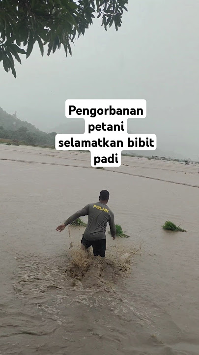 Luar biasa pengorbanan petani