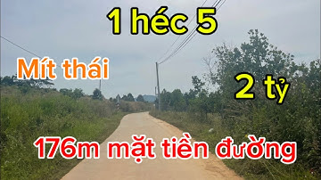 1 héc 5 trồng 600cây mít thái 176m mặt đường bê tông gần nhà thờ chợ trường giá bán 2 tỷ 