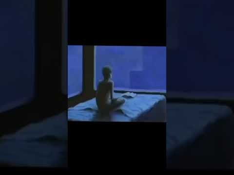 من ئي شارع انتو