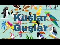 Türkçe ve Türkmence kuşlar