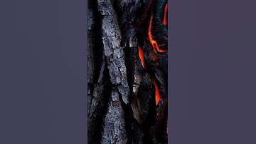 سورة القيامة بصوت القارئ حمزة بوديب الجزء 02 _ Surat ALkeyama Hamza Boudib