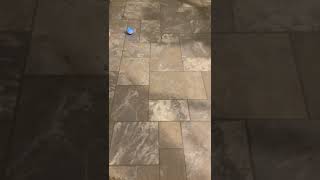 Celebrity Sphero Square Draw Wealth