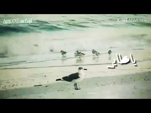 يا طير يا ماشي لي اهلنا