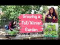 How to Grow a Fall / Winter Garden for Beginners | Garden with Me | Kale and Cauliflower