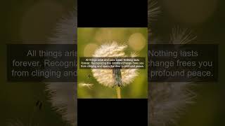 Why Nothing Lasts: Embracing Impermanence for Peace