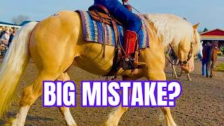 REGRETTING NOT Bidding on This Perfect Palomino Gelding?!