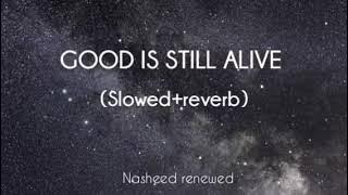 (Slowed Reverb) Good is still alive | La Yazal Al-khair | Beautiful Arabic nasheed |