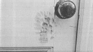 Chilling New Details About DC Quadruple Slaying Net Worth