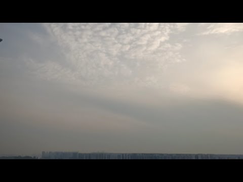 Morning Magic: Beautiful
