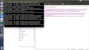 Compile LineageOS TWRP: Downloading Device Trees and Vendor Files