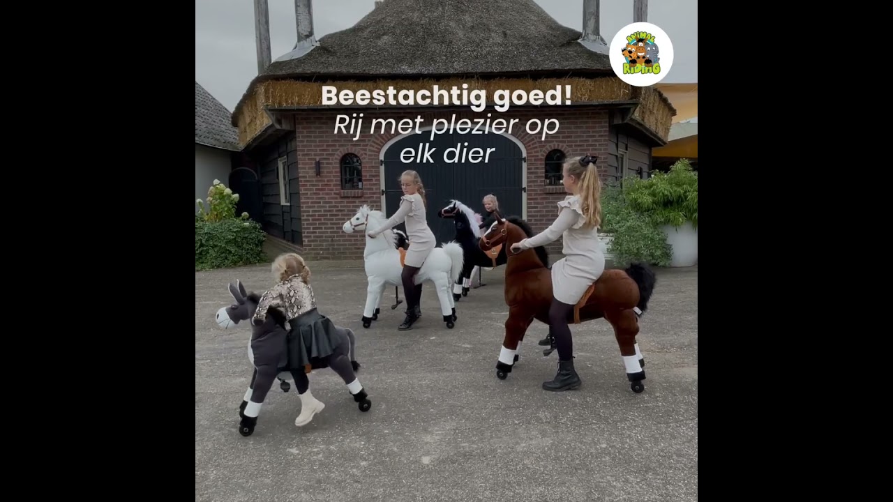 Animal Riding - Algemeen